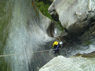Antolina 2004